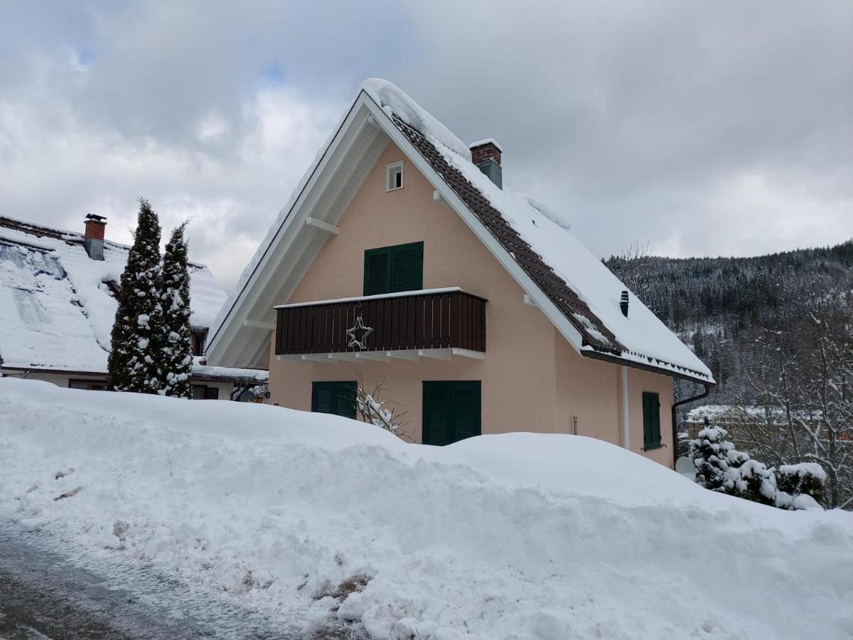Ferienhaus Barbey St. Blasien Exterior photo