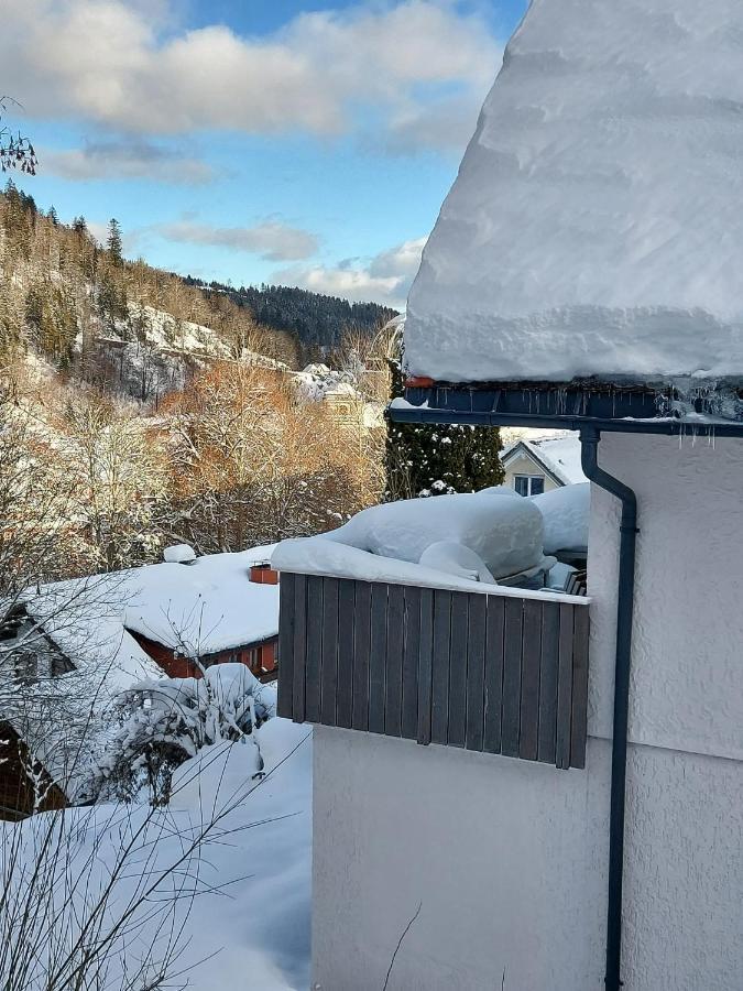 Ferienhaus Barbey St. Blasien Exterior photo